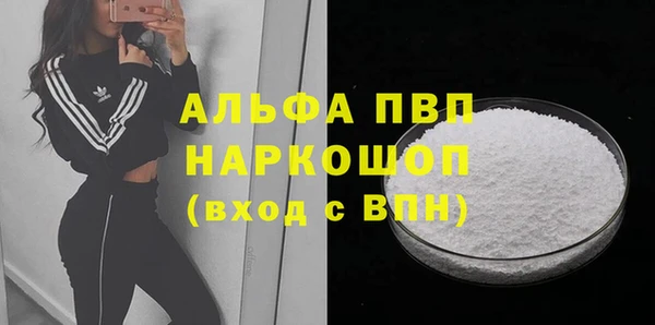 индика Алексин