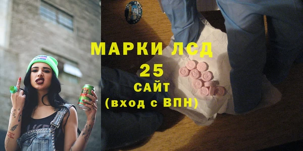индика Алексин